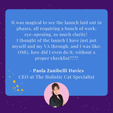 Launch Planning Made Simple